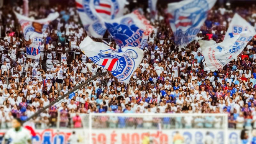 Cinco torcedores do Bahia são detidos durante partida contra o Palmeiras; saiba motivo