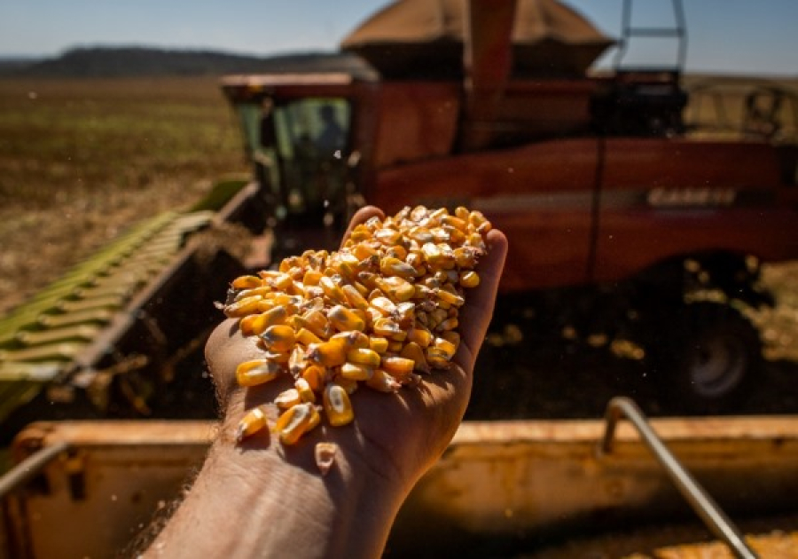 Agro será a ‘grande resposta’ para alta do PIB brasileiro em 2025, diz presidente da Abag